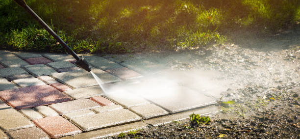Best Residential House Exterior Washing  in Glenview, IL